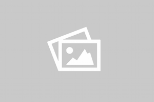 Administrateur base de données