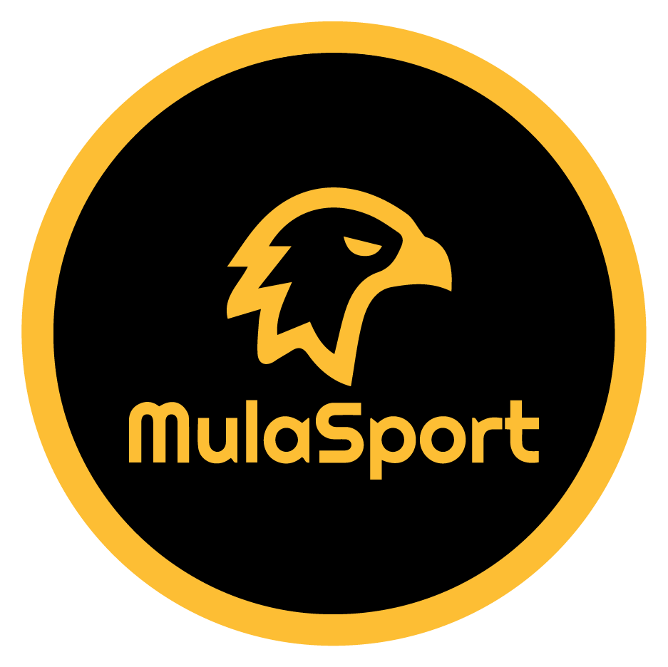 Découvrez MulaSport, la nouvelle plateforme de paris sportifs en RD Congo